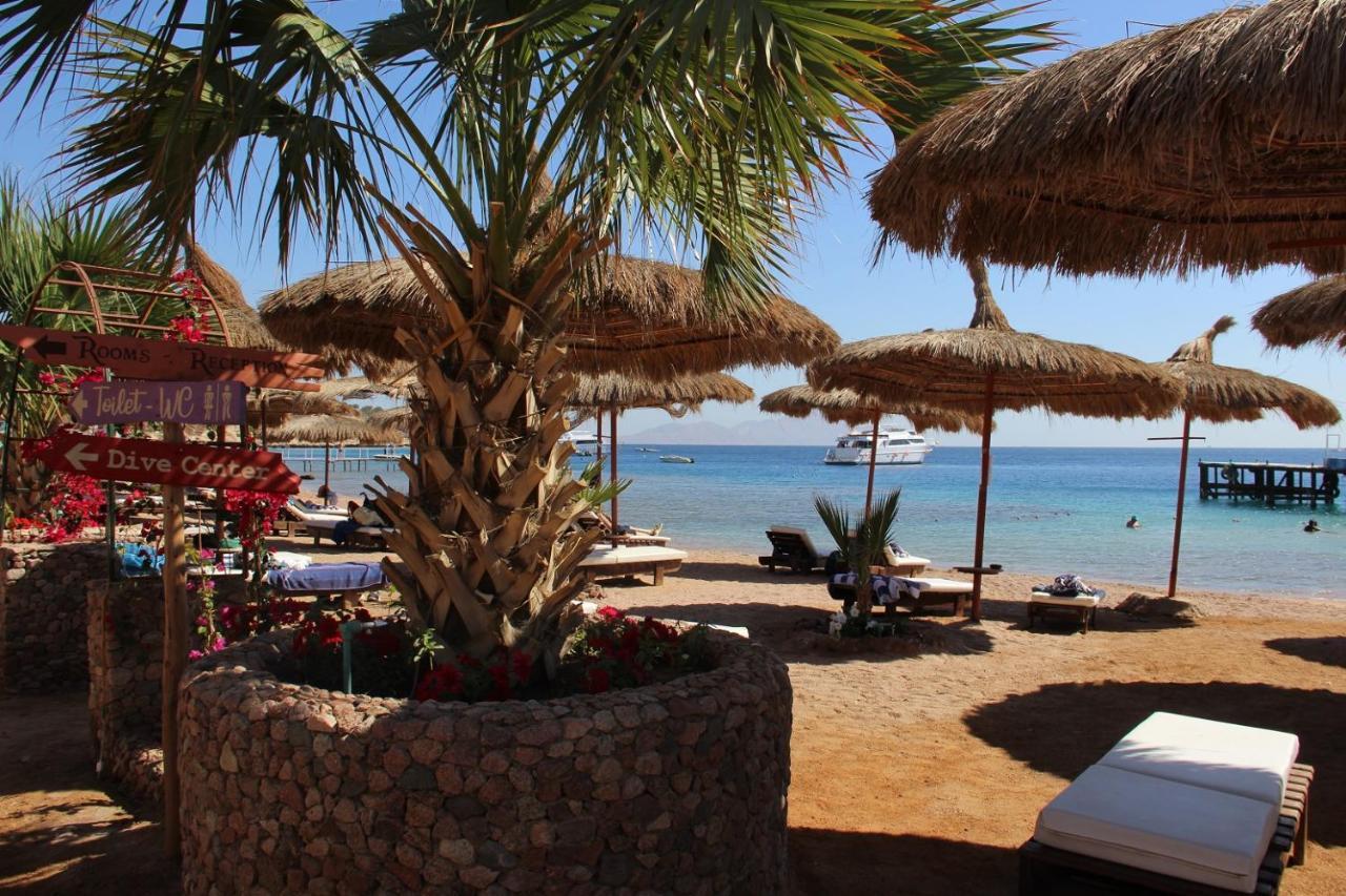 Sunshine Divers Club - Il Porto Sharm El-Sheikh Exterior foto